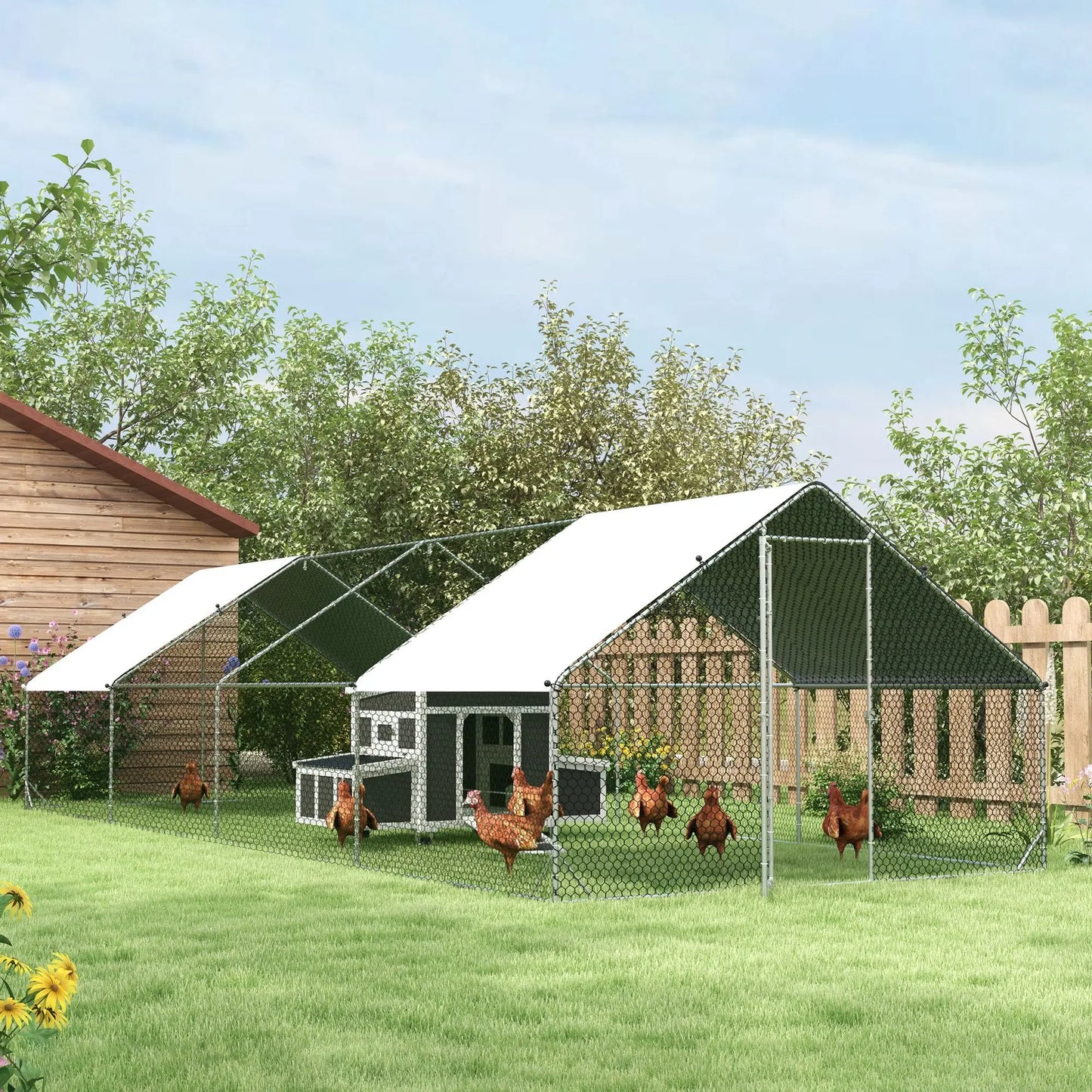 Volière 24 m² en acier