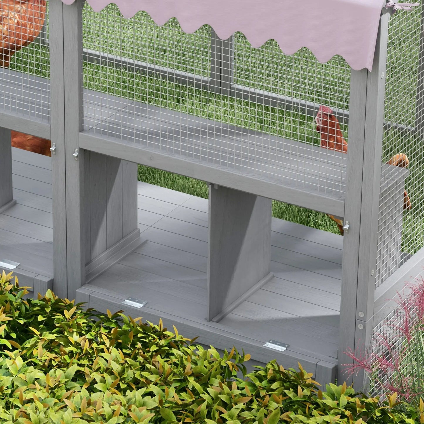 Volière 5.2 m² en bois de sapin