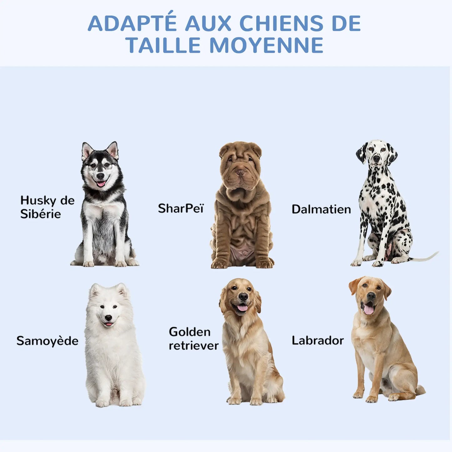 Cage de transport pliante pour chien en acier