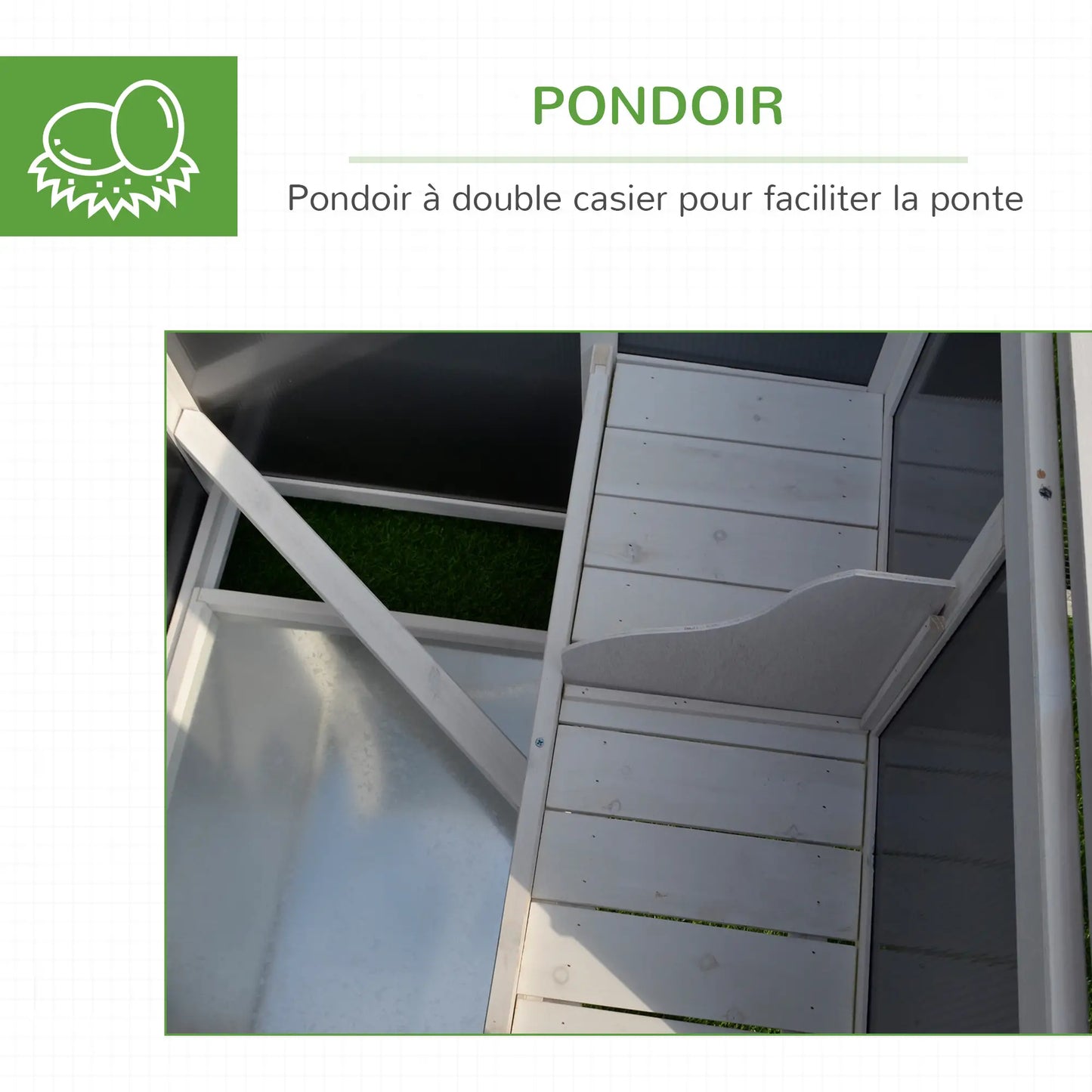 Poulailler multi-équipements en bois de pin